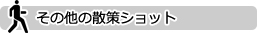 その他の散策ショット