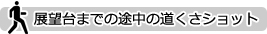 展望台までの途中の道くさショット