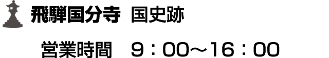 飛騨国分寺 国史跡