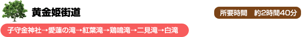 黄金姫街道　子守金神社→愛蓮の滝→紅葉滝→鶏鳴滝→二見滝→白滝