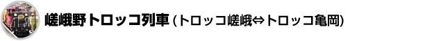 嵯峨野トロッコ列車(トロッコ嵯峨⇔トロッコ亀岡)