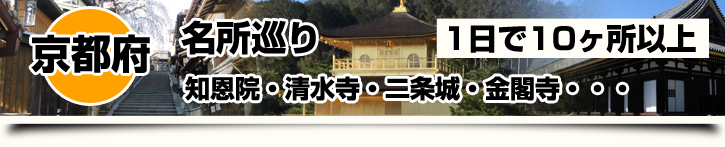 京都の名所巡り 知恩院・清水寺・二条城・金閣寺・・・1日で10ケ所以上