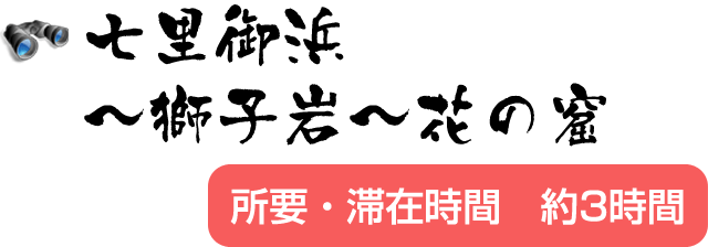 世界遺産 七里御浜～獅子岩～花の窟