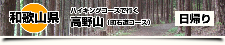 ハイキングコースで行く 高野山（町石道コース） 日帰り