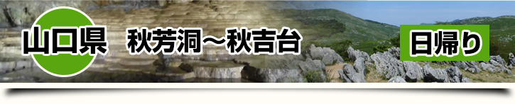 秋芳洞～秋吉台(山口県美祢市) 日帰り
