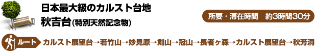 日本最大級のカルスト台地-秋吉台(特別天然記念物)