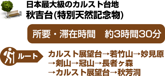 日本最大級のカルスト台地-秋吉台(特別天然記念物)