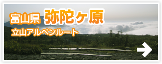 富山県 弥陀ヶ原-立山アルペンルート